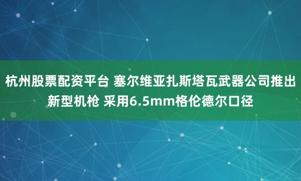 杭州股票配资平台 塞尔维亚扎斯塔瓦武器公司推出新型机枪 采用6.5mm格伦德尔口径